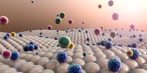 orphagen nuclear receptors